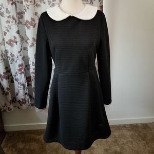 Black long sleeve knee length A-line mod dress with white peter pan collar